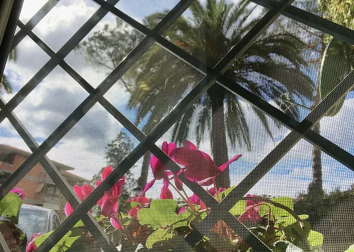 Amadeus Hébergement de vacances *